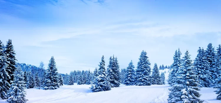 Ninsoare abundentă la Dealu Negru